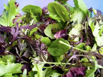 Lechuga Mixta 1 k.