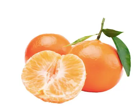 MANDARINA