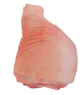 PIERNA CON PIEL