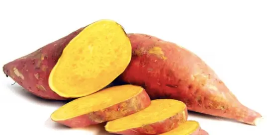 CAMOTE AMARILLO
