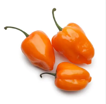 CHILE HABANERO