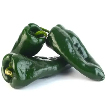 CHILE POBLANO MEDIANO
