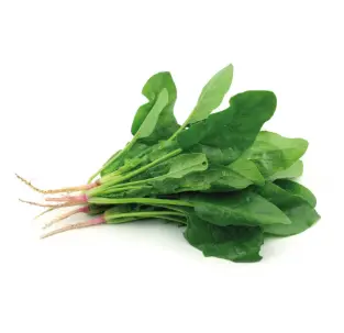 ESPINACA