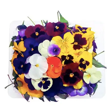 FLORES COMESTIBLES DOMO