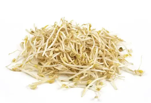 GERMEN DE SOYA