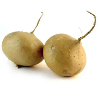 JICAMA