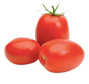JITOMATE