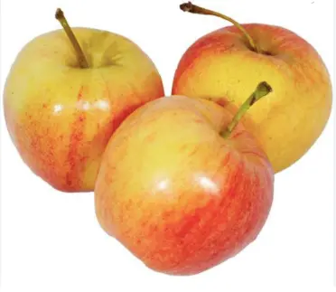 MANZANA GALA