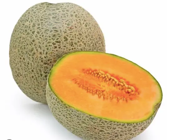 MELÓN