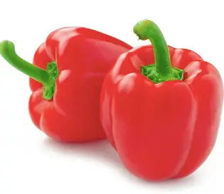MORRON ROJO