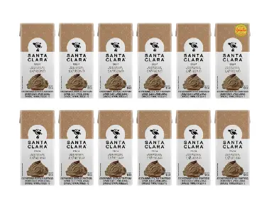 Leche Santa Clara sabor helado de chocolate 180 ml