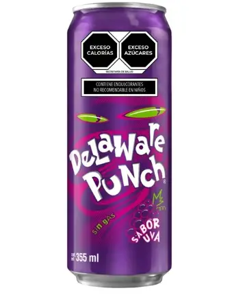 Delaware 355 Ml. 12 Piezas