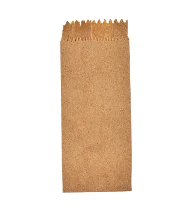 Bolsa de papel no. 10 con 100 piezas
