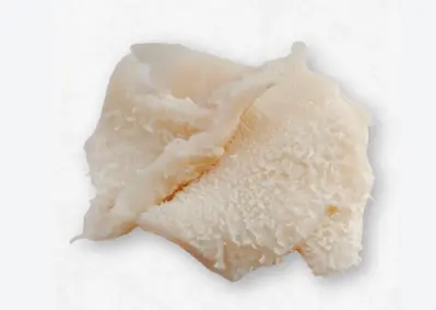 PANZA