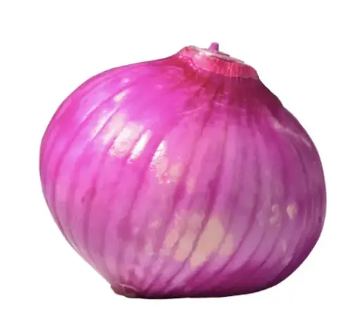 CEBOLLA MORADA