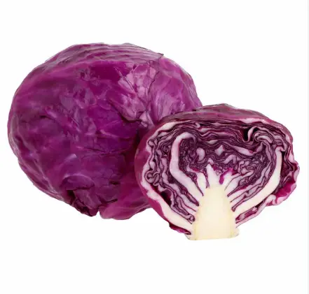 COL MORADA