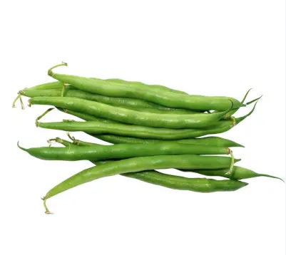 EJOTE