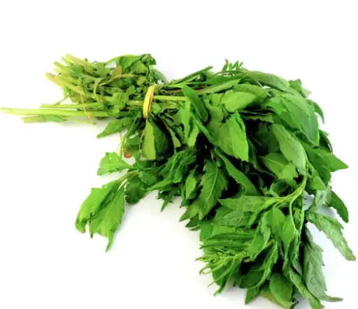 EPAZOTE