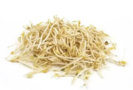 GERMEN DE SOYA