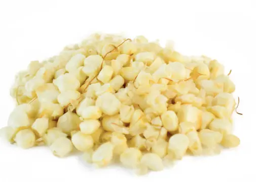 GRANO DE ELOTE