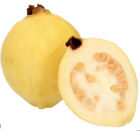 GUAYABA