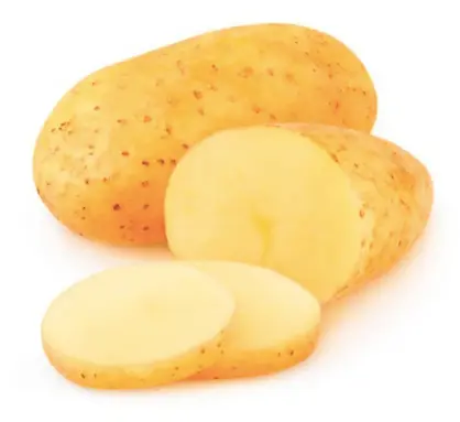 PAPA ALFA BLANCA GRANDE