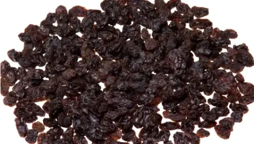 UVA PASA